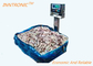 600KG Stainless Steel Industrial  Platform Weighing Scales for sea food AC 220V 50Hz